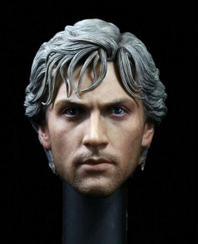 Avengers 2 Pietro Django Maximoff Quicksilver Male Soldier Head Sculpture - Picture 2 of 4