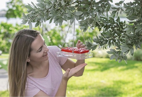 Cuboid - Hummingbird Feeder 2 in 1 - Picture 5 of 6