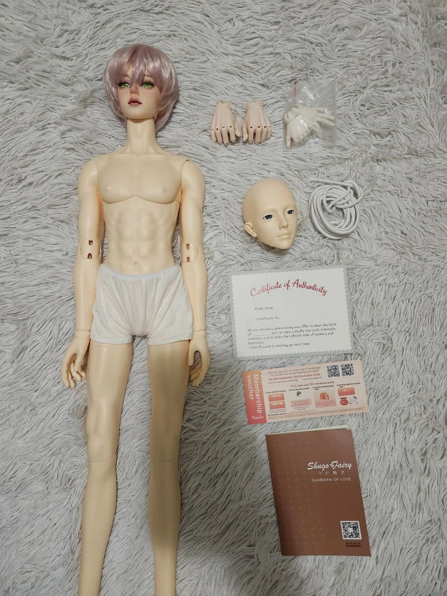 BJD 关节携手全尺寸超级杜尔飞和球形关节娃娃| eBay