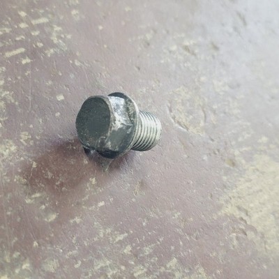 1999-2003 Yamaha Roadstar Roadstar Oil Drain Engine Bolt