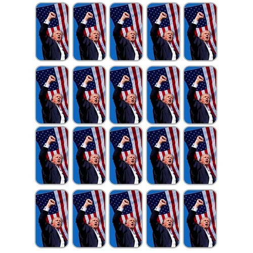 Lot of 20 - 1 Troy oz Sunshine Mint Trump Fight Colorized .999 Fine Silver Bar