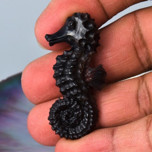 Seepferdchen Geschnitzter Schwarz Stift Pinna Muschel Figur Kollektion Schmuck - Bild 6 von 12