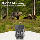 Bild 10 von 16