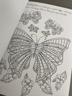 Picture 5 of 5