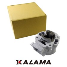 Performance Engine Rebuild Part 44.5mm Cylinder to Kawasaki KX65 KX 65 2002~2021