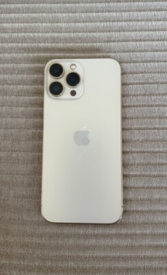 Apple iPhone 13 Pro Max - 256GB - Silber