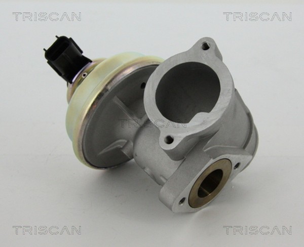 Triscan AGR Ventil 8813 16102 FüR BWY Mondeo B4Y Ford AluminiumgehäUse 3 Turnier-image
