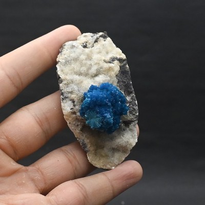 Big rosette of Cavansite on matrix  (non precious natural stone) # 4689