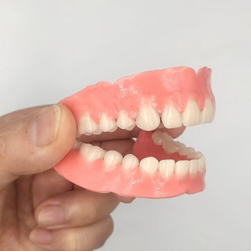 1 Natural White Dentures Set for Upper And Lower Teeth, Comfortable to Wear