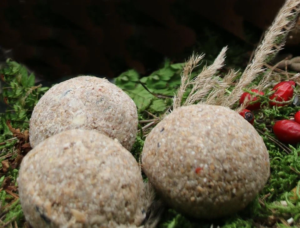 Anhaltiner Meisenknödel 100St. ohne Netz Rindertalg Wildvögel Energiequelle Fett - Bild 4 von 4