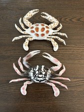 2pc Realistic Coastal Crab Set Wall Decor Tropical Marine Coral Reef Ecology