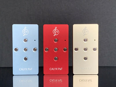 Calyx PaT mobiler USB D/A-Wandler (DAC) und Kopfhörerverstärker (headphone amp)