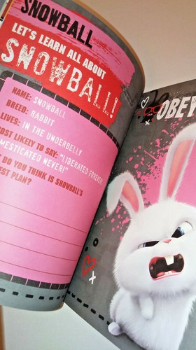 Pair SECRET LIFE OF PETS BOOKS Story STICKER ACTIVITY Max Friends Me MEGA DELUXE - Picture 25 of 35