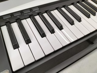 Korg RK-100S Keytar 37 Keys Synthesizer White Strap Case Manual Japan