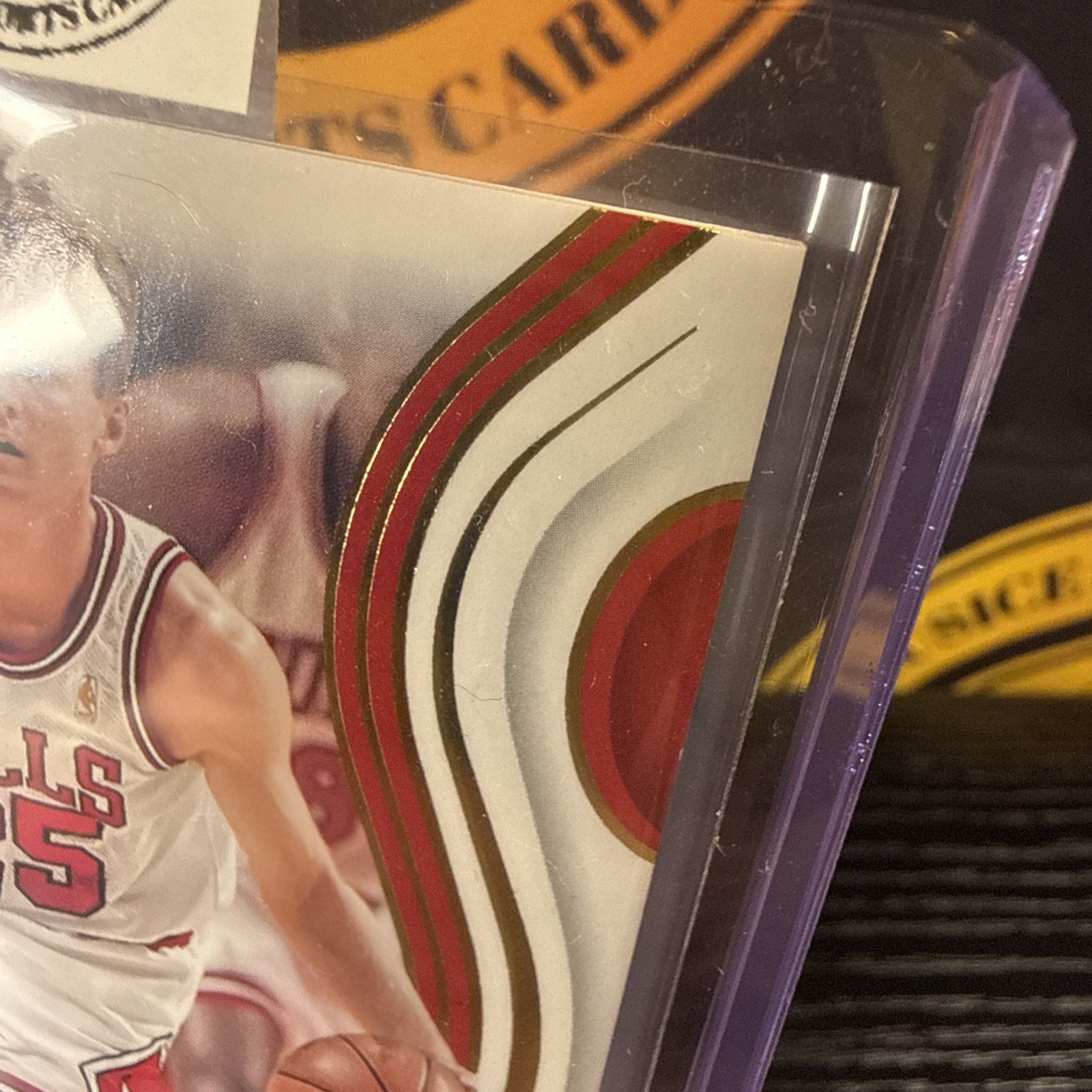 2023-24 STEVE KERR 98/99 AUTO PANINI IMMACULATE COLLECTION VIRTUOSO AUTOGRAPHS  view 7