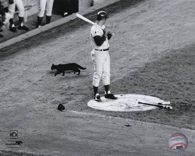 Ron Santo Chicago Cubs 1969 Black Cat B&W 8x10 Photo (Lot of 18) (PhotoFile)