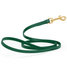 Dog Pet Leash with Brass Hardware W 1/2  L 4 FT Hunter Green