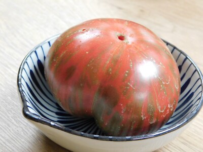 TOMATE MOONLIGHT MILE BLACK MIT PANASCHIERTEM LAUB 5+ Samen P 629