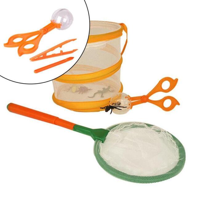 Beetle catching set Adventure Educational for Outdoor Explorer Age 3 4 5 6 7 8