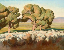 Summer Cottonwoods  by Maynard Dixon