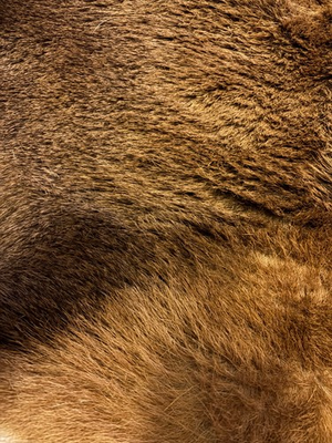 #ad #ad red deer hide approximately 5 by 3 feet used in good condition supple leather $60.00