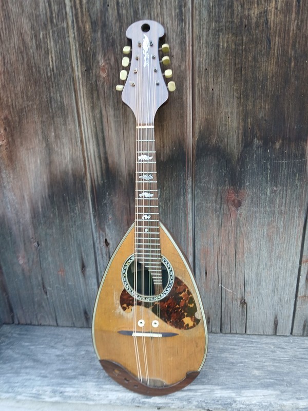 1934 Raffele Calace Bowl-Back Mandolin