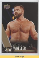2021 Upper Deck AEW All Elite Wrestling Gold Dash Wilder Cash Wheeler READ z6b
