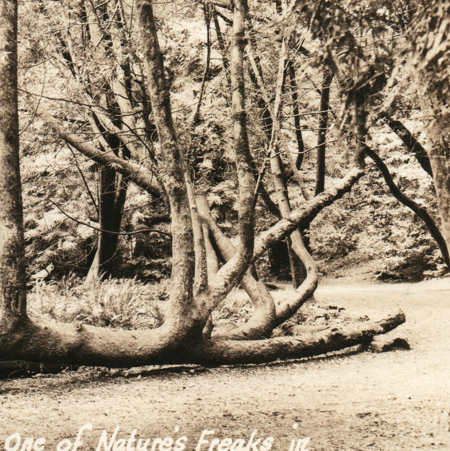 Picture 3