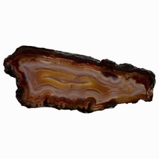 Moroccan Seam Agate Slab - Fortification with Orange Coloration
