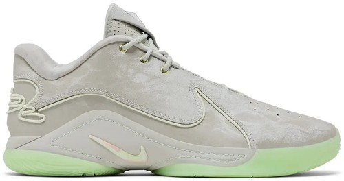 Nike LeBron 22 Crown Jewel 💎 (2024) XXII | eBay