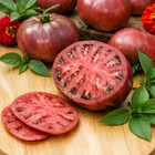 100 Heirloom Purple Cherokee Tomato Seeds NonGMO Free Shipping! Indeterminate