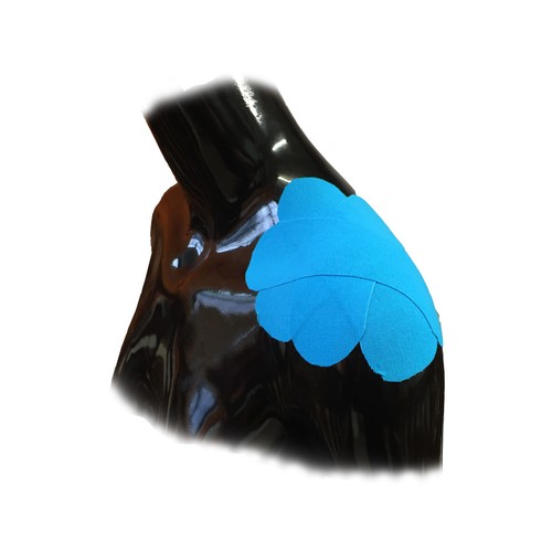 ISPORT PRECUT SHOULDER PAIN AC JOINT KINESIOLOGY INJURY PHYSIO TAPING KITS 5CM eBay