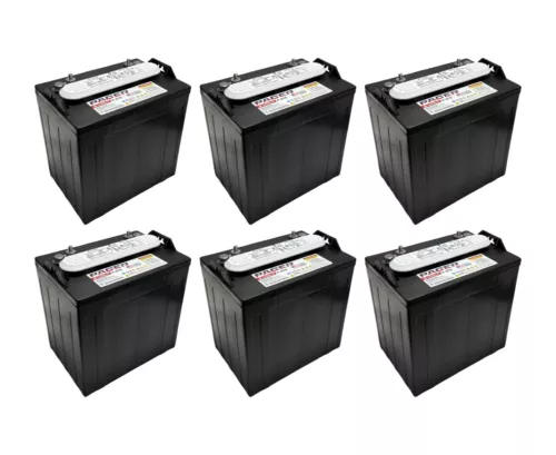 Pacer P-875 8 Volt 165Ah Deep Cycle Battery - Replaces Trojan T-875 | Set of 6