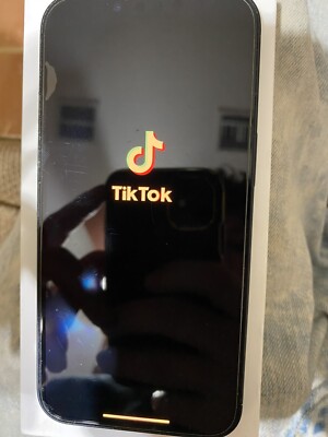 iPhone 13 With TikTok 