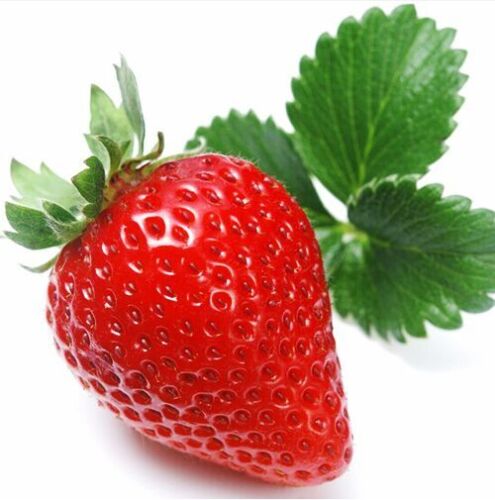 200 Red Sweet Strawberry Seeds Organic Fruit S007 - Picture 1 of 6