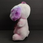 Foto 7 di 14