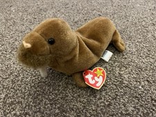 BNWT Ty Beanie Babies Paul the Walrus Tagged Retired NEW