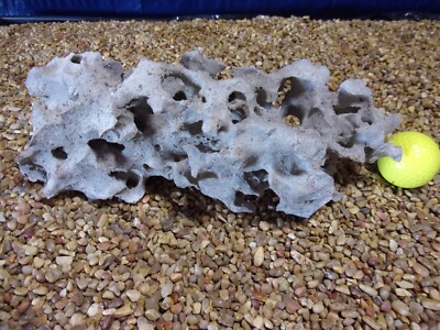 16# Texas/TN Holey Rock  Aquarium Reptile Honeycomb Limestone (4-Rock Lot)