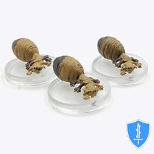 Egg Hunter Adult x3 - Fizban's Treasury of Dragons #1 D&D Icons of the Realms