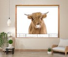 The Cow Peeking Animal Kids Bedroom Blackout Roller Blinds Printed Picture
