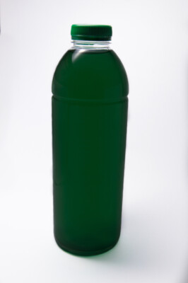 PlanktonPlus Phyto-Breed Zuchtkultur Phytoplankton 1L (für 10L Zuchtansatz)