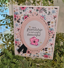 STAMPIN UP CARD KIT - OUR FRIENSHIP IS NATURALLY BEAUTIFUL Makes 4 24.438