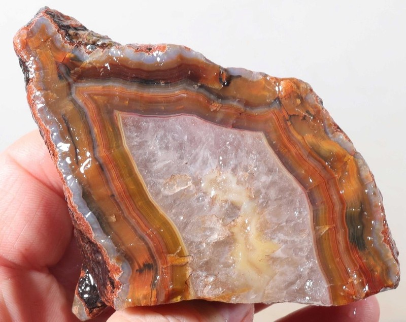 Argentine Condor Agate lapidary 7 oz. rough Lot Dc1