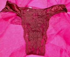 💗VTG SZ 6 SILKY Bronze NYLON & LACE by Vanity Fair PANTIES USA Second Skin💗