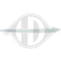 Diederichs 6660043 Zier-/Schutzleiste, KüHlergitter