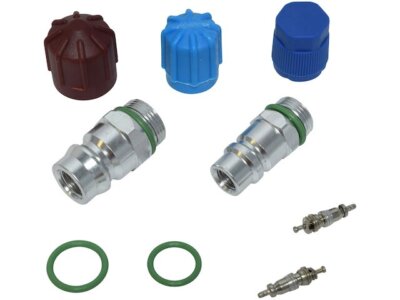 For Oldsmobile Aurora A/C System Valve Core and Cap Kit 98655NGHR