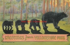 WY, Yellowstone National Park, Wyoming, Greetings, Bears, Postmark 1948, Sanborn