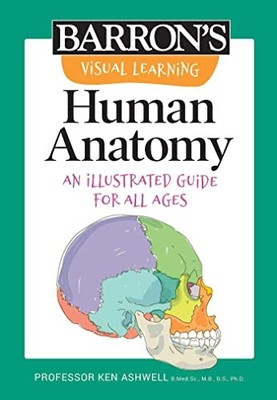 Visual Learning: Human Anatomy : An Illustrated Guide for All Ages by Ken ...
