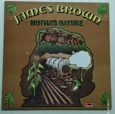 James Brown & The New J.B.'s – Mutha's Nature 1977 Italy LP - Imagen 1 de 4