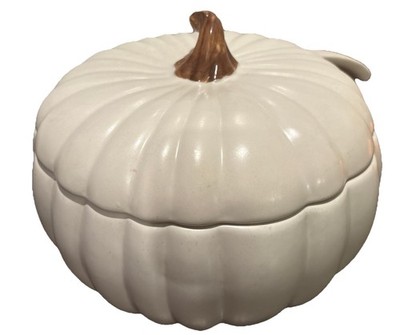 The Great Indoors White Harvest Pumpkin Thanksgiving Soup Bowl w/spoon 9 X 6 